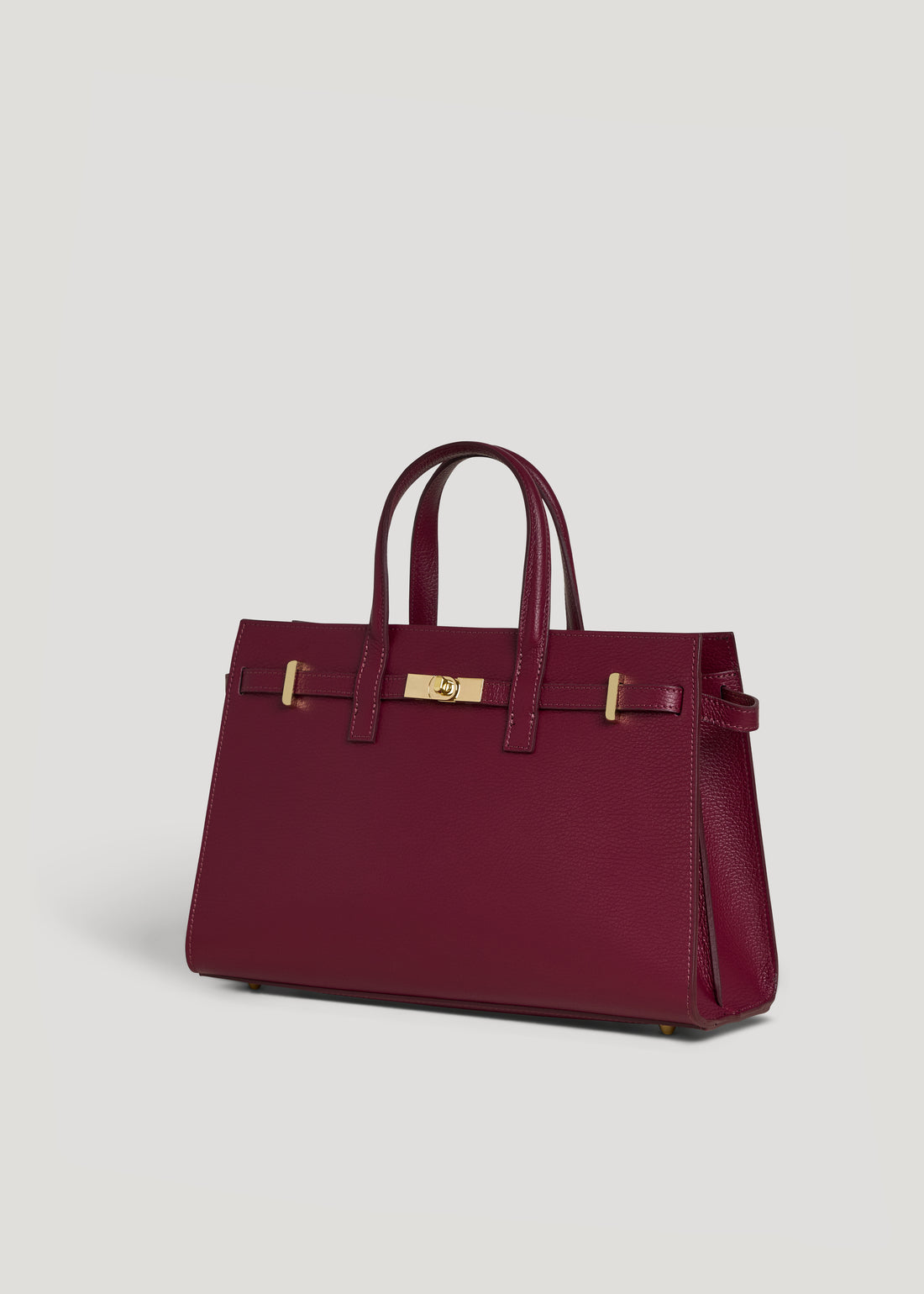 Sveva bag in Plum Dollar leather