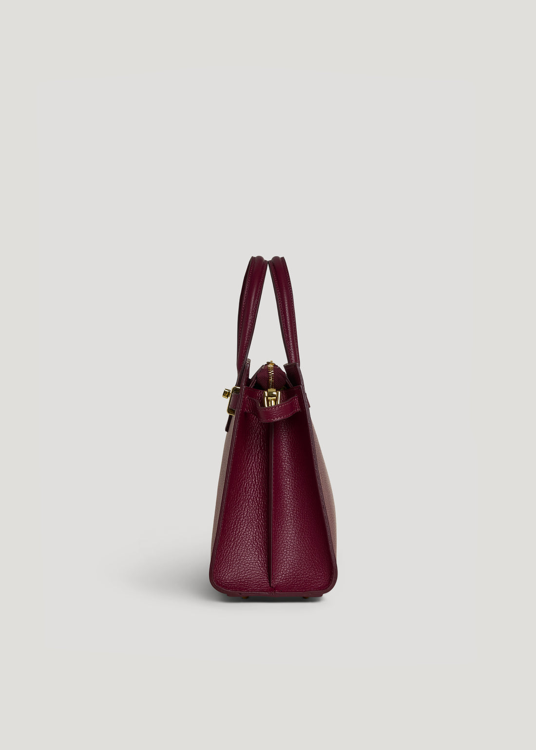 Sveva bag in Plum Dollar leather