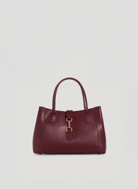 Chloe bag in Cuoio brushed leather