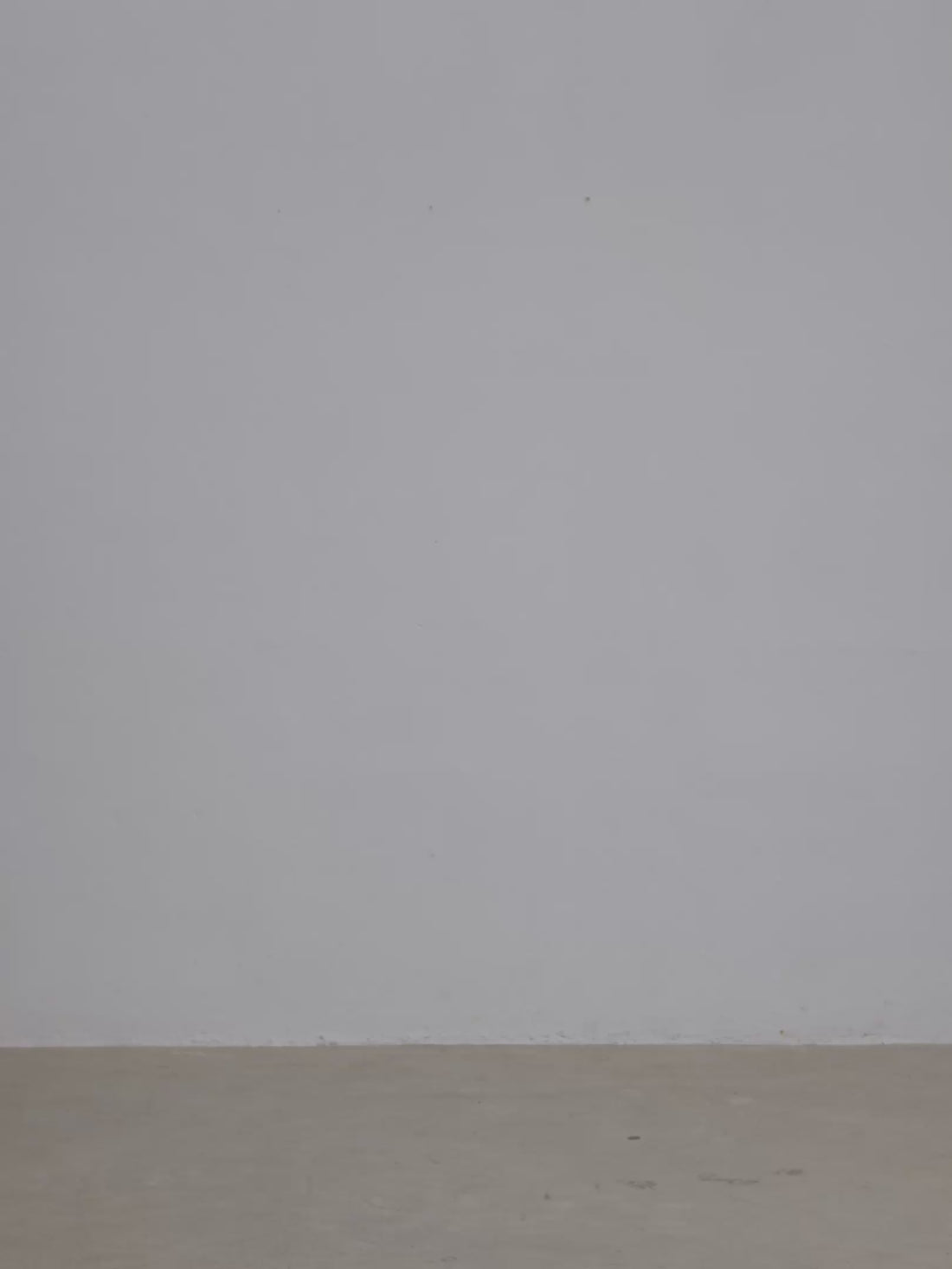 Borsa Cécile in Camoscio e Pelle Borgogna