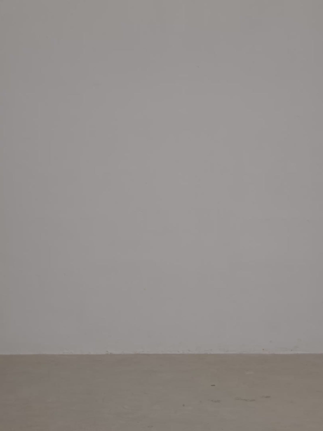 Borsa Charlène Limited Edition in Calf Hair e Pelle Leopardata